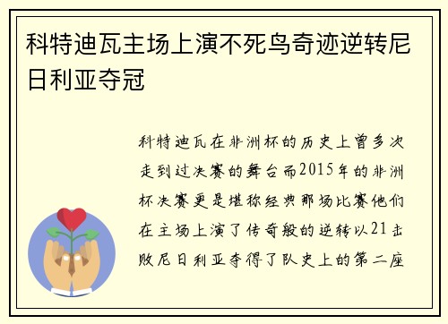 科特迪瓦主场上演不死鸟奇迹逆转尼日利亚夺冠